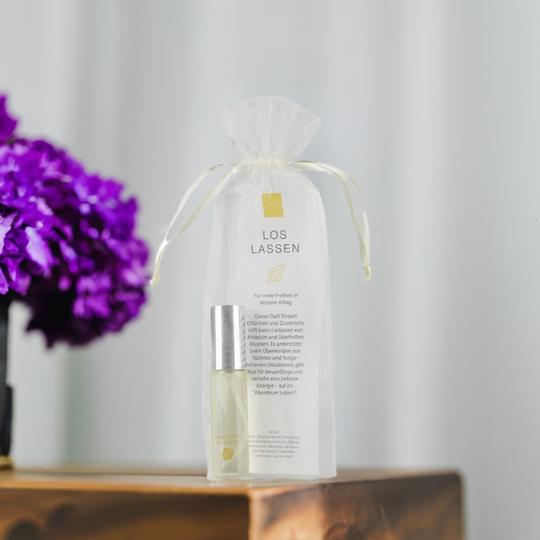 Lifechange-Box - Neurofeeling - feel your dreams